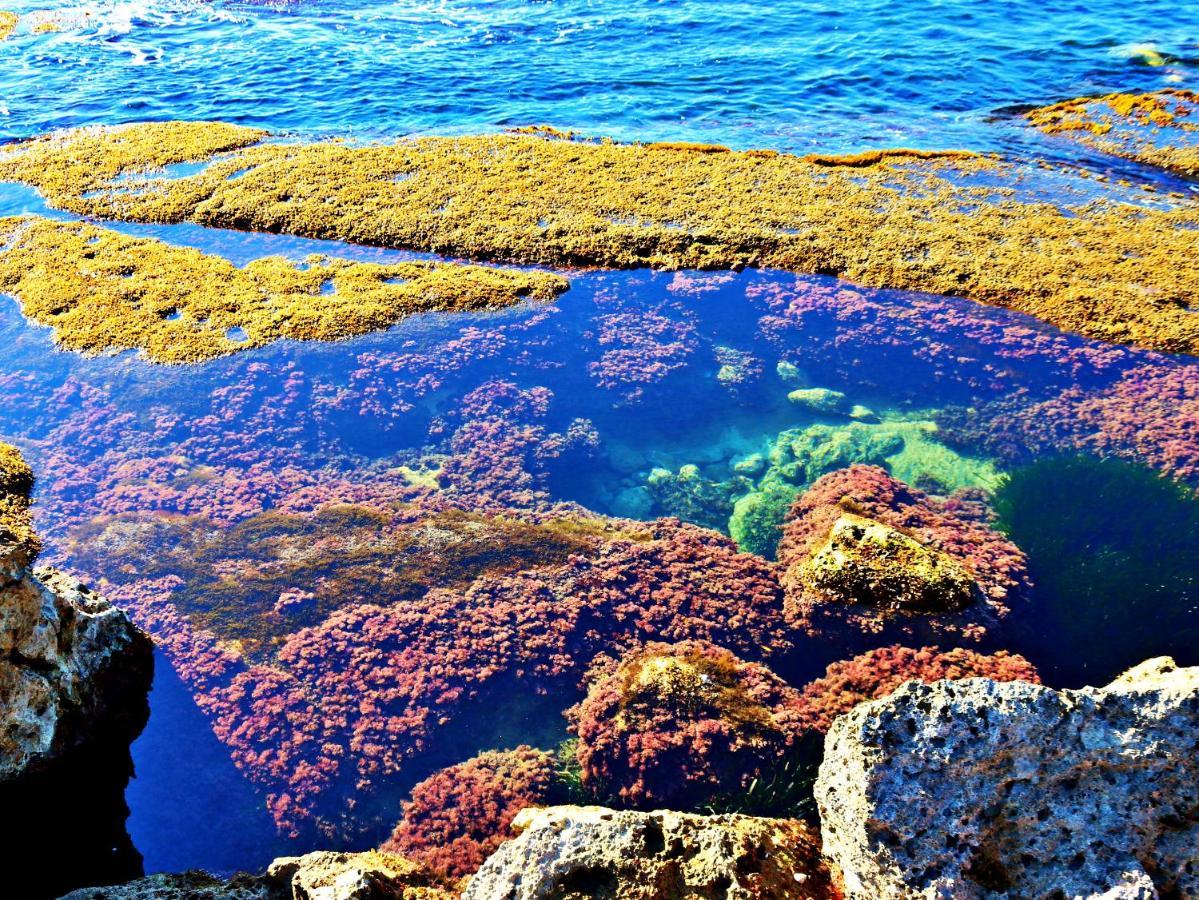 Anemone Della Scala Dei Turchi Lejlighed Realmonte Eksteriør billede
